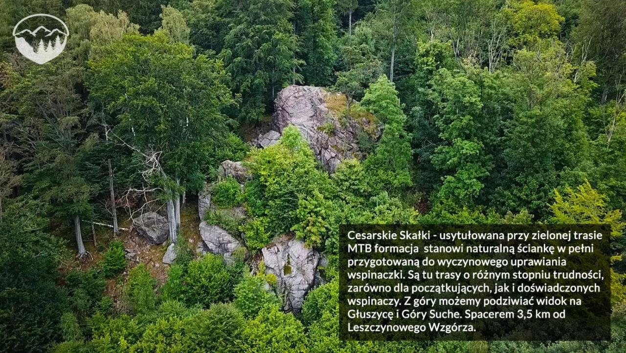 Agroturystyka Leszczynowe Wzgorze Gluszyca Buitenkant foto
